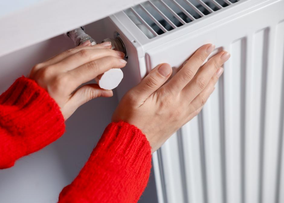 Kepez Petek Temizleme